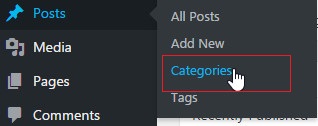 how to add categories for wordpress blog